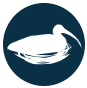 Wading bird nesting abundance icon. Wading birds are important indicator of foraging and nesting habitat quality. Wading bird nesting abundance icon. Wading birds are important indicator of foraging and nesting habitat quality.